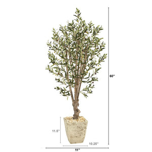 T1331 Decor/Faux Florals/Plants & Trees