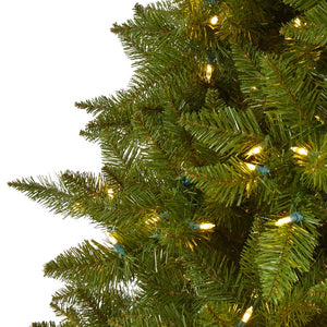 T1455 Holiday/Christmas/Christmas Trees