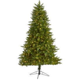 6.5' Vermont Spruce Artificial Christmas Tree with 450 Warm White (Multifunction LED Lights with Instant Connect Technology and 984 Bendable Branches