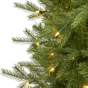 T1486 Holiday/Christmas/Christmas Trees