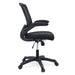 EEI-825-BLK Decor/Furniture & Rugs/Chairs