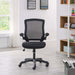 EEI-825-BLK Decor/Furniture & Rugs/Chairs
