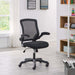 EEI-825-BLK Decor/Furniture & Rugs/Chairs
