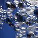 08857 Lighting/Ceiling Lights/Chandeliers