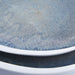 10263 Decor/Decorative Accents/Bowls & Trays