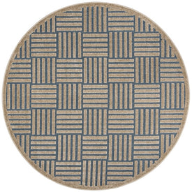 Cottage 6' 7" x 6' 7" Round Indoor/Outdoor Woven Area Rug - Light Blue/Beige