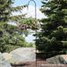 HMI-578 Outdoor/Lawn & Garden/Planters