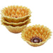 22237SET4 Dining & Entertaining/Dinnerware/Appetizer & Dessert Plates