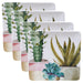 22170SET4 Dining & Entertaining/Dinnerware/Dinner Plates