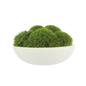 14" Artificial Moss in Round White Container