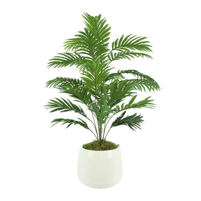 Product Image: CDTR1408 Decor/Faux Florals/Plants & Trees