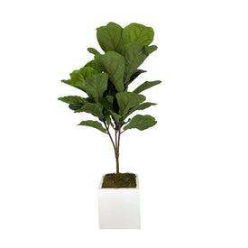 21" Artificial Fiddle Leaf Tree in White Square Pot