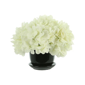 9.5" Artificial White Hydrangeas in a Black Ceramic Pot with Saucer