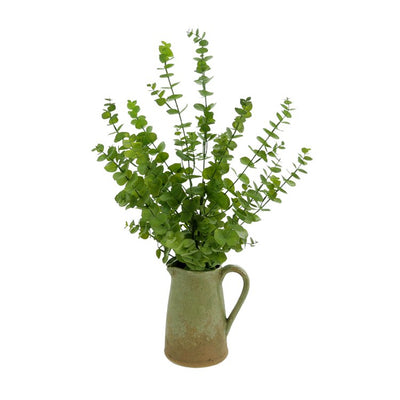 Product Image: CDCL16 Decor/Faux Florals/Plants & Trees