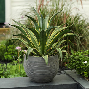 WH054 Outdoor/Lawn & Garden/Planters