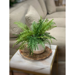 CDTR1399 Decor/Faux Florals/Plants & Trees