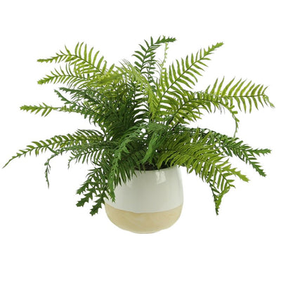 Product Image: CDTR1399 Decor/Faux Florals/Plants & Trees