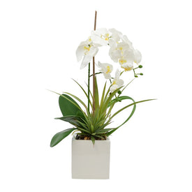 23" Artificial White Orchid Arrangement in Square Pot