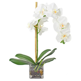 20" Artificial White Orchid and Bamboo in Square Glass Vase
