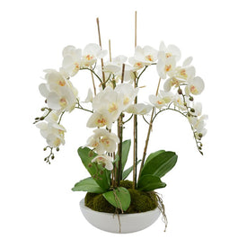 27" Artificial White Orchids with Moss in Round Container