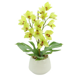 22" Artificial Orchid in White Vase with Rocks and Acrylic Water