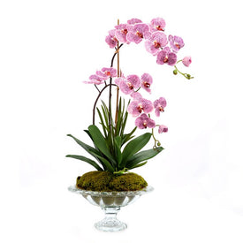 32" Artificial Purple Orchids with Moss and Bamboo in Glass Pedestal Bowl