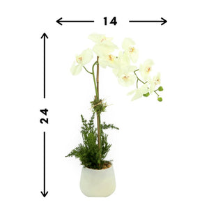 CDFL6486 Decor/Faux Florals/Floral Arrangements