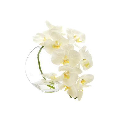 Product Image: CDFL4472 Decor/Faux Florals/Floral Arrangements