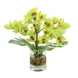 20" Artificial Yellow/Green Orchids and Philodendron Leaves in Glass Vase with Rocks and Acrylic Water