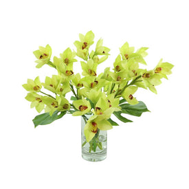 23" Artificial Yellow/Green Orchids and Leaves in Glass Vase with Acrylic Water