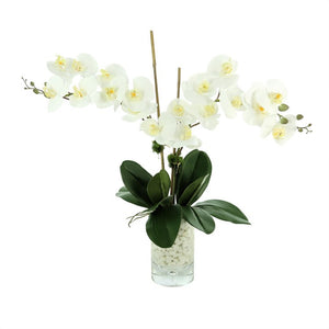 CDFL6468 Decor/Faux Florals/Floral Arrangements