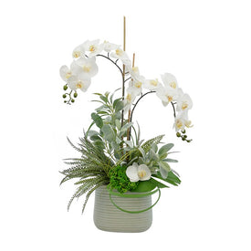 30" Artificial White Orchid with Lamb's Ear in Blue Ceramic Container