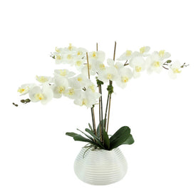28" Artificial White Orchids in White Glass Container