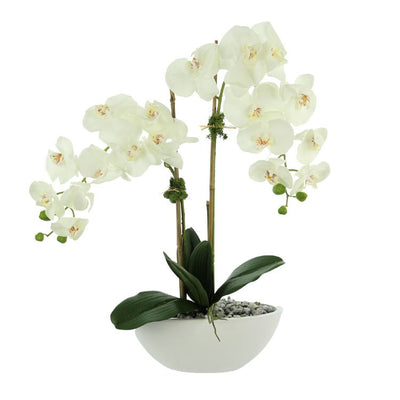 Product Image: CDFL6470 Decor/Faux Florals/Floral Arrangements