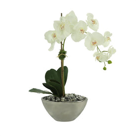 22" Artificial White Orchid in Glass Vase
