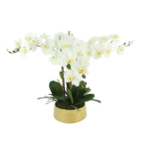 25" Artificial White Orchids in Gold Pot