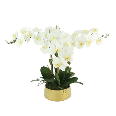 Product Image: CDFL6476 Decor/Faux Florals/Floral Arrangements