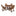 Nautical Five-Piece Dining Set - Teak