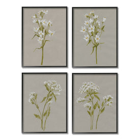 Vintage White Wild Flower Study Soft Petals 14" x 11" Black Framed Wall Art Four-Piece Set