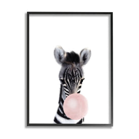 Baby Zebra with Pink Bubble Gum Safari Animal 20" x 16" Black Framed Wall Art