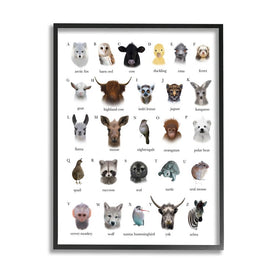 Alphabet Chart of Wild Animals Over White 20" x 16" Black Framed Wall Art