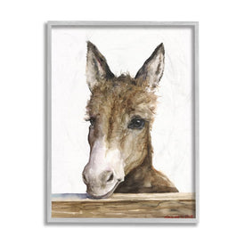 Baby Donkey Portrait Adorable Farm Animal 14" x 11" Gray Framed Wall Art