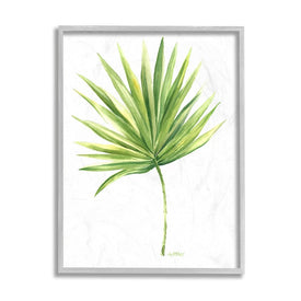 Tropical Green Palm Fan Minimal on White 14" x 11" Gray Framed Wall Art