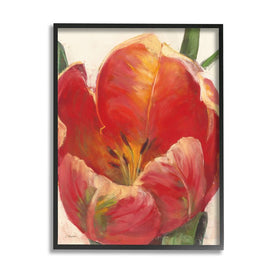Soft Red Tulip Floral Close-Up Petal Detail 30" x 24" Black Framed Wall Art