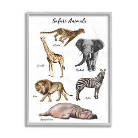 Safari Animal Chart Playful Watercolor Illustrations 14" x 11" Gray Framed Wall Art