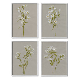 Vintage White Wild Flower Study Soft Petals 14" x 11" Gray Framed Wall Art Four-Piece Set