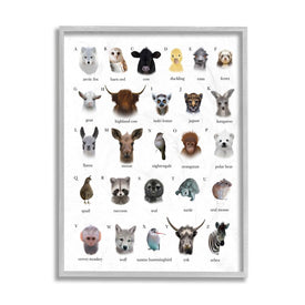 Alphabet Chart of Wild Animals Over White 20" x 16" Gray Framed Wall Art