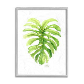 Monstera Leaf Tropical Plant Over White 20" x 16" Gray Framed Wall Art