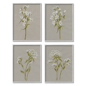 Vintage White Wild Flower Study Soft Petals 20" x 16" Gray Framed Wall Art Four-Piece Set