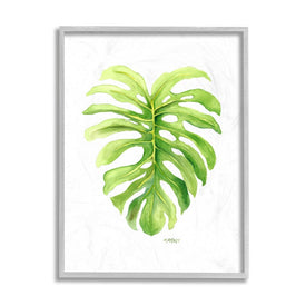 Monstera Leaf Tropical Plant Over White 14" x 11" Gray Framed Wall Art